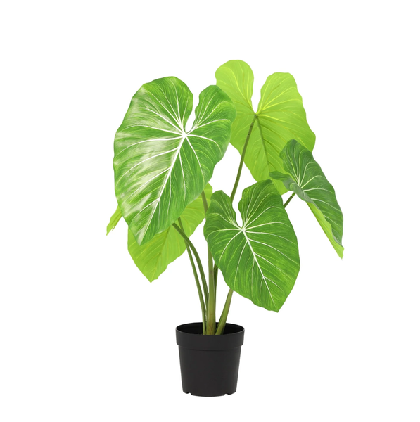 ARTIFICIAL Philodendron - 100cm