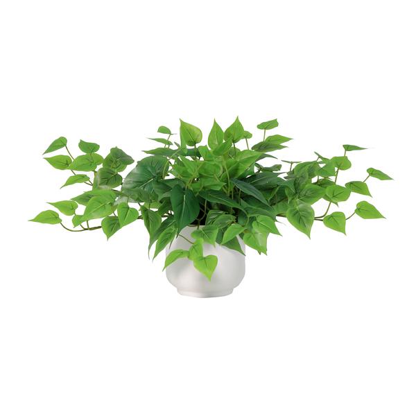 ARTIFICIAL epipremnum including white pot