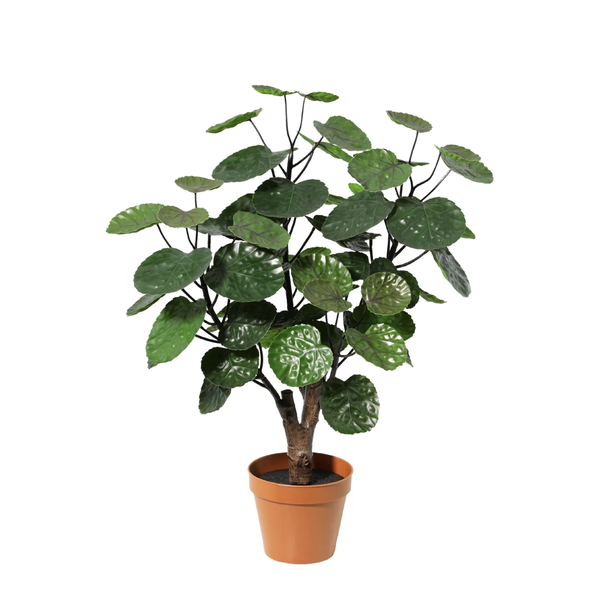 ARTIFICIAL Polysicas Fabian - 55cm