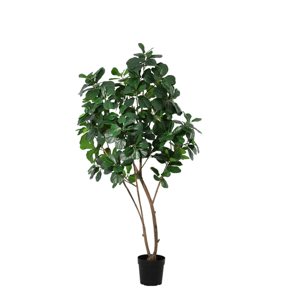 ARTIFICIAL Ficus Lyrata tree - 180cm