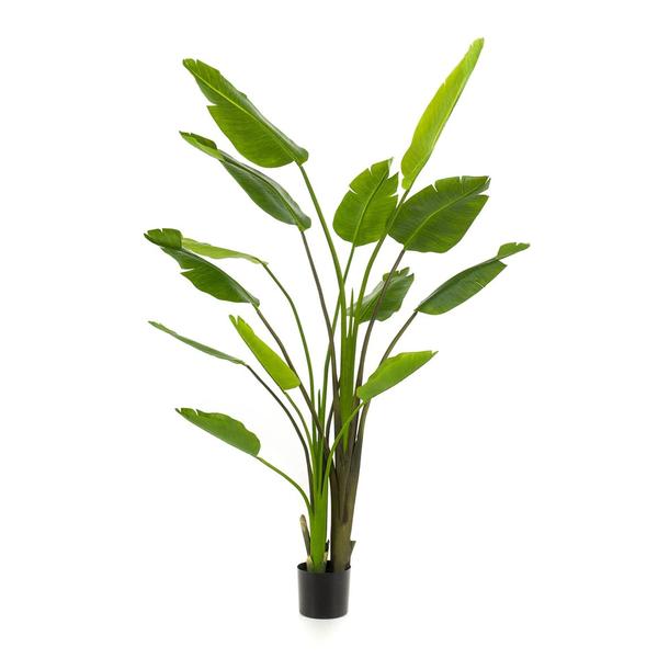 Strelitzia nicolai - 180 cm - In zwarte pot - Kunstplant - ARTIFICIAL